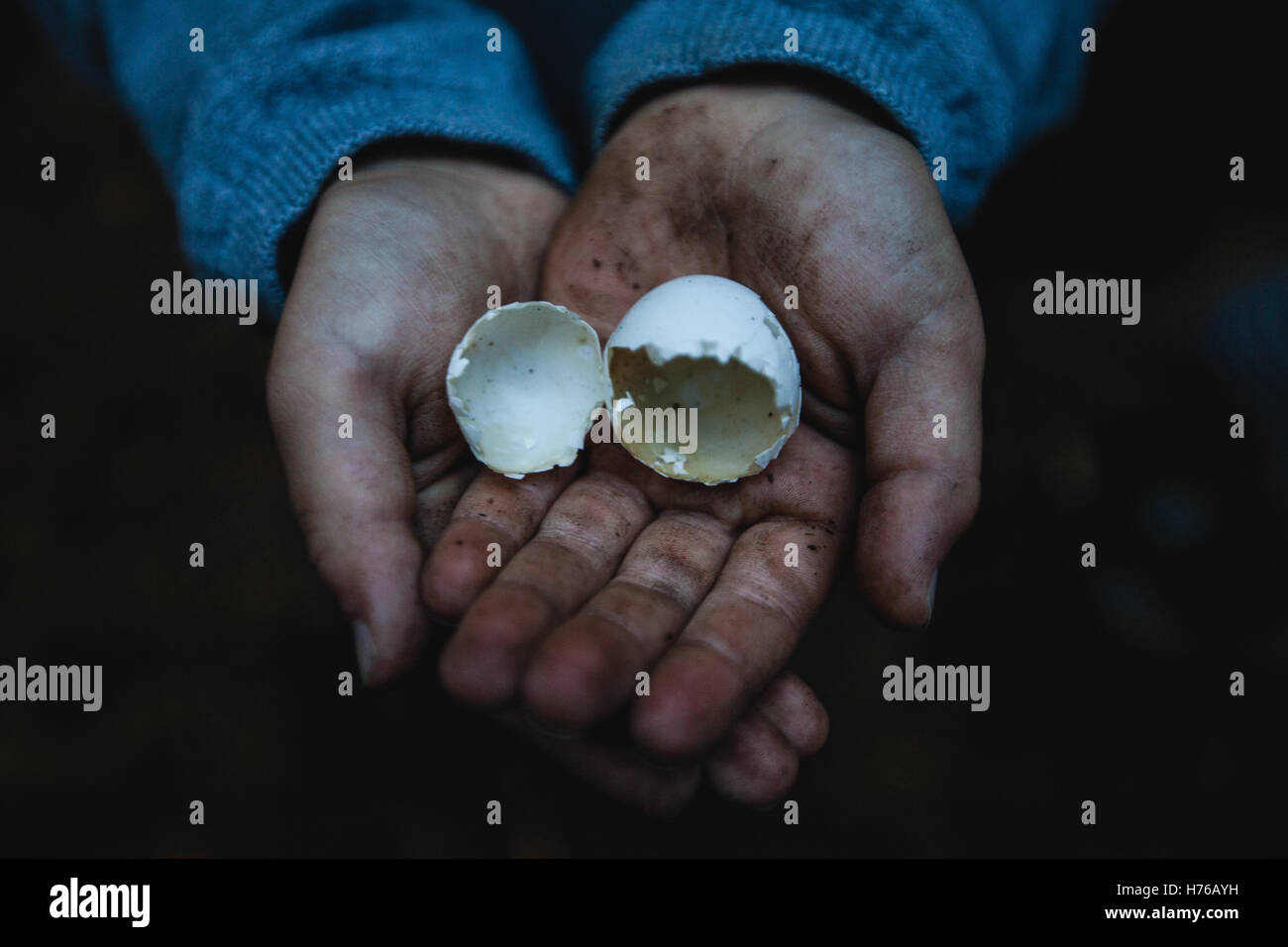 Boy's dirty hands holding a broken egg shell Stock Photo