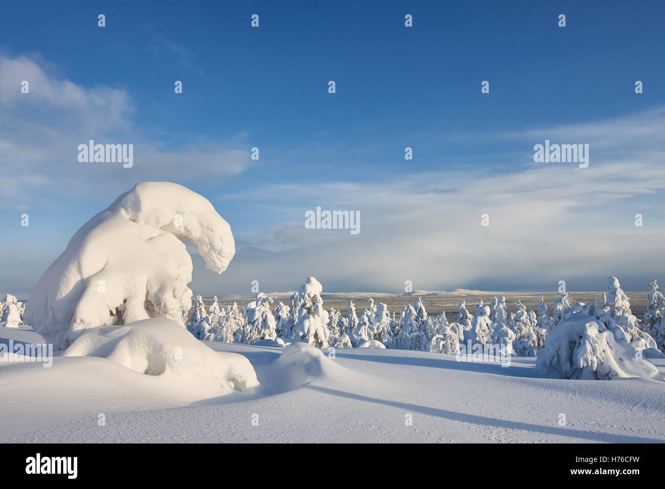Sunny winter landscape in Lapland Stock Photo - Alamy