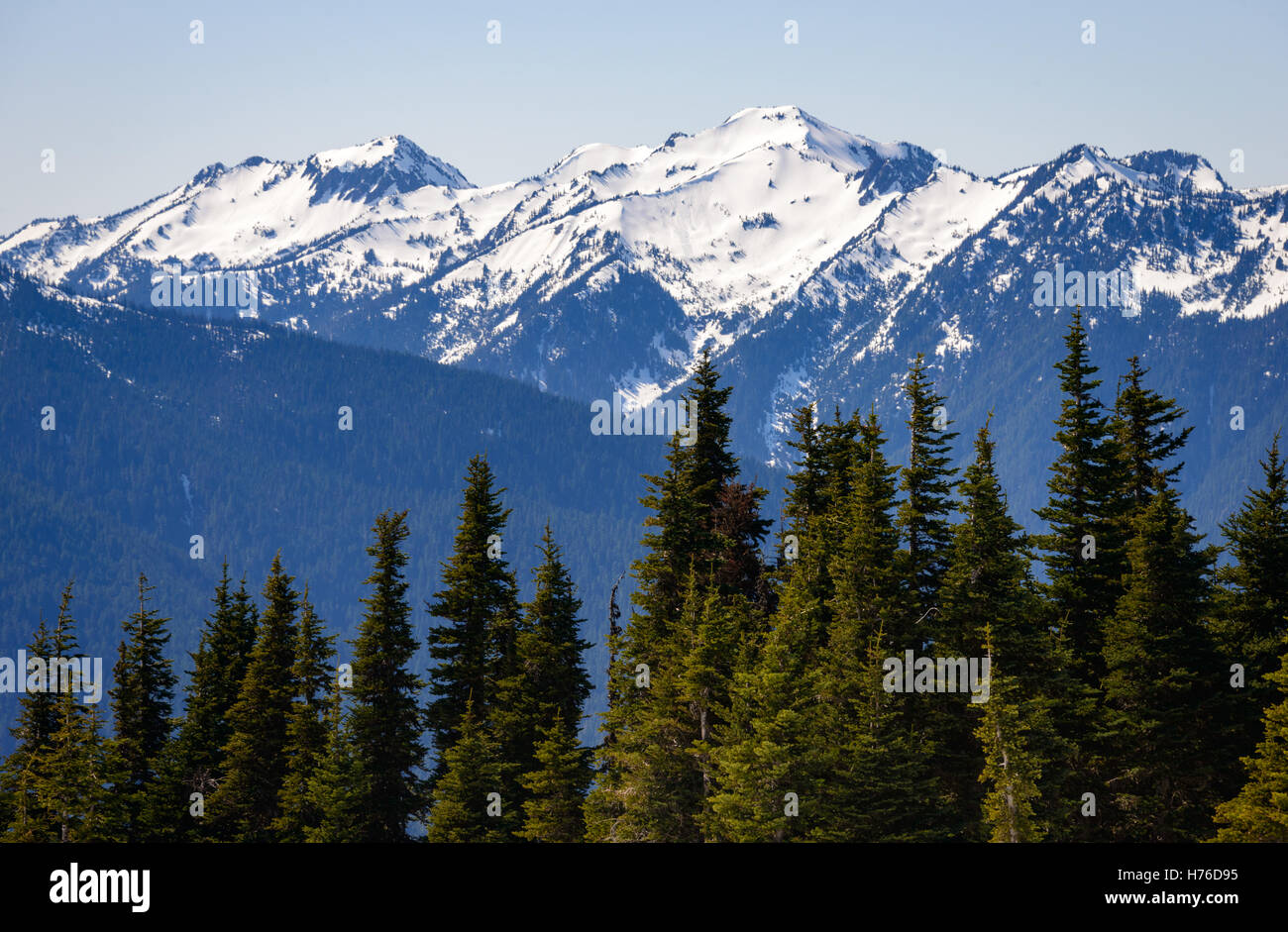 Olympic National Park - Olympic National Park H76D95 