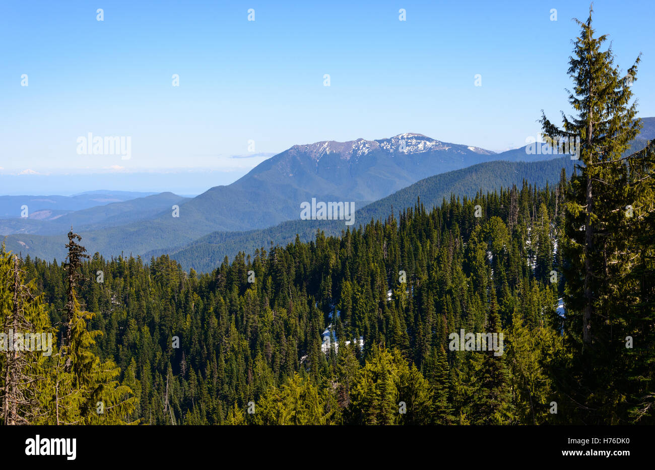 Olympic National Park Stock Photo Alamy