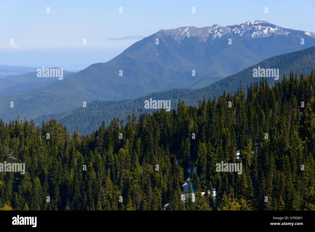 Size of Olympic National Park Exploring its Grandeur