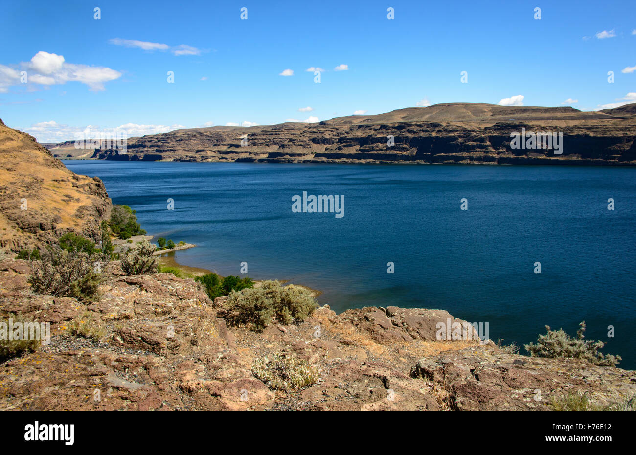 Ginkgo Petrified Forest State Park Stock Photo Alamy