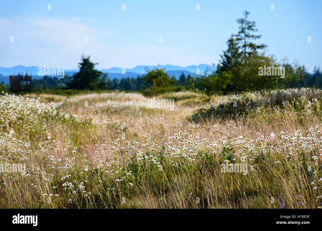 Mima Mounds Natural Area Preserve Stock Photo