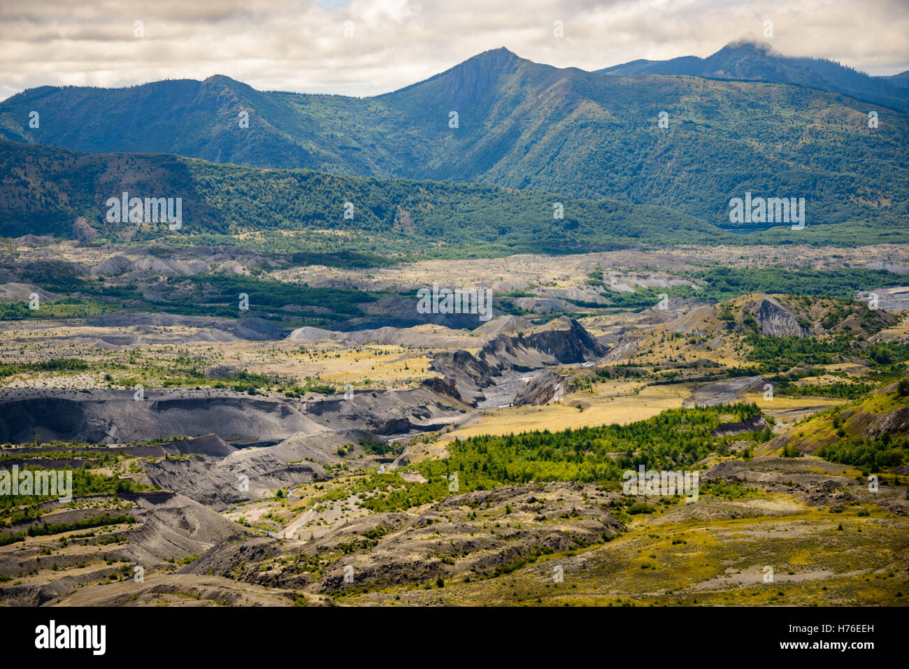 Mount St. Helens National Volcanic Stock Photo