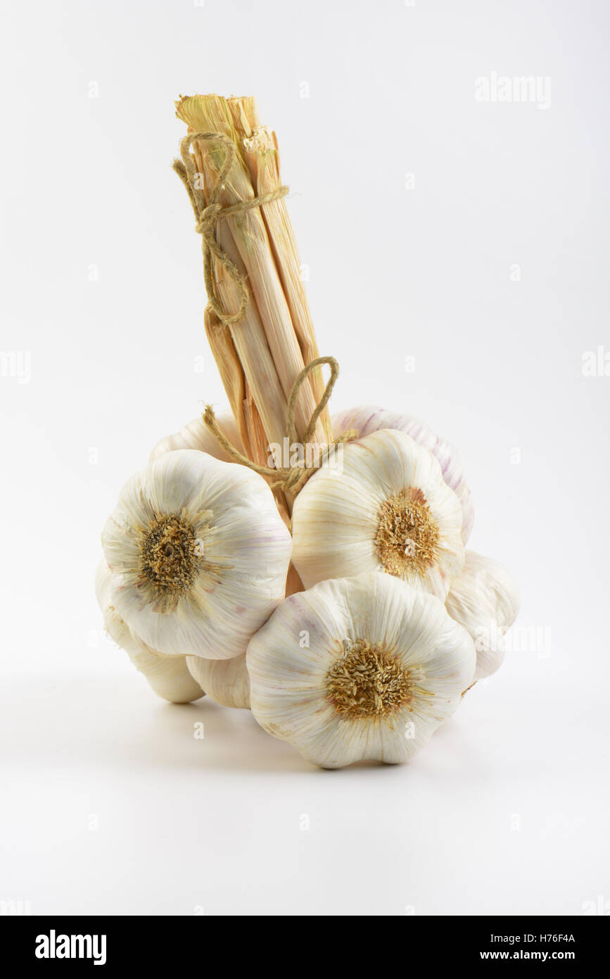bunch of garlic on white background Stock Photo - Alamy