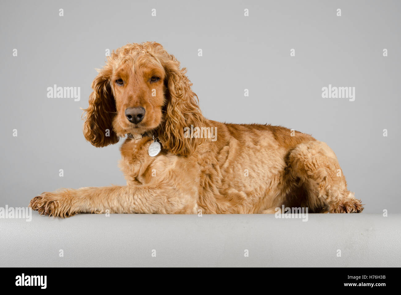 Well Chilled High Resolution Stock Photography And Images Alamy