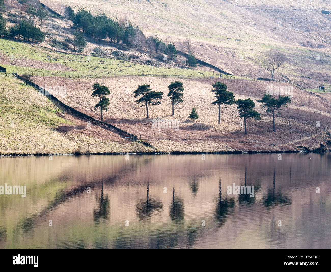 Reflections of trees and moorland in reservoir Stock Photo