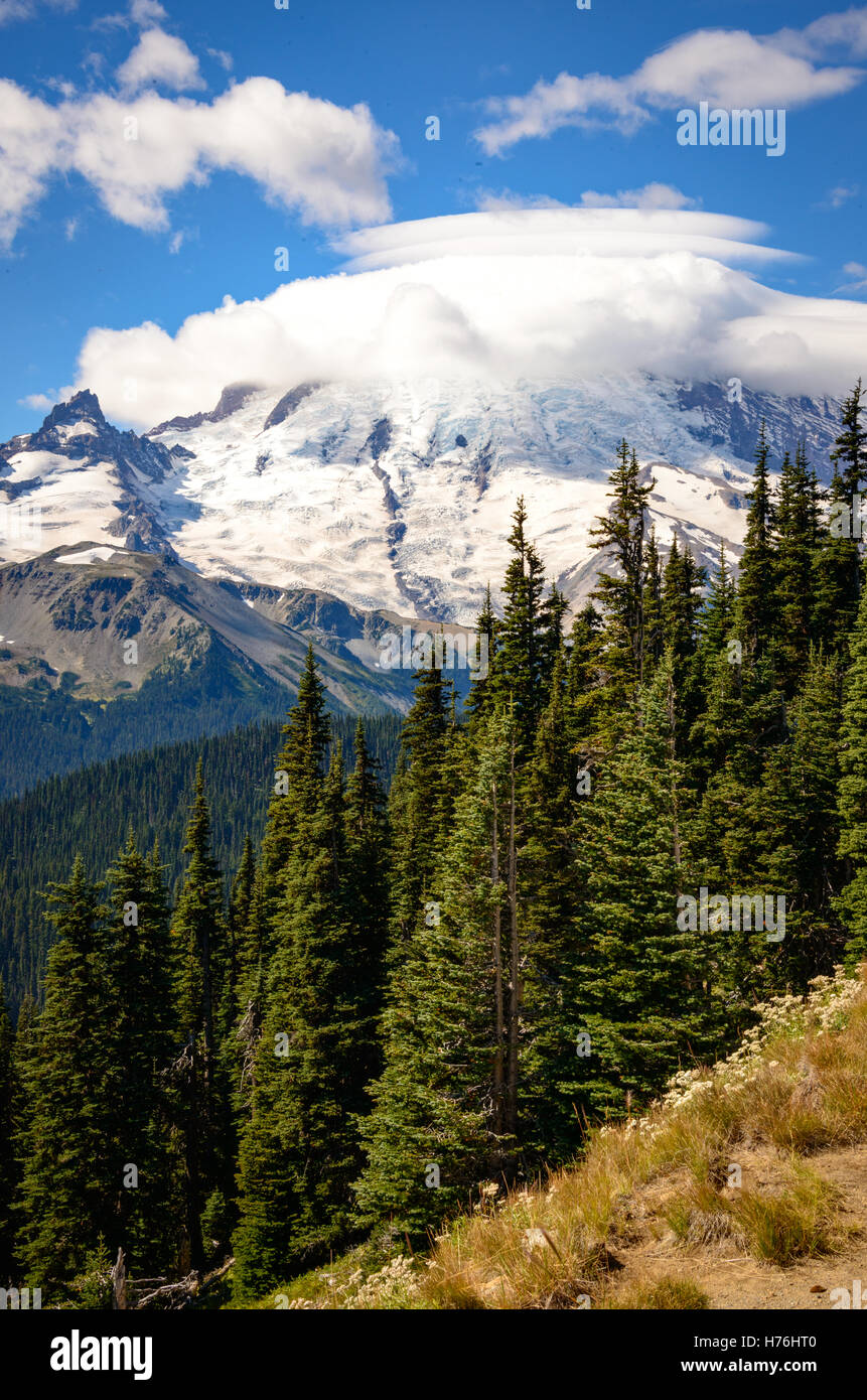 Mount Rainier National Park Stock Photo