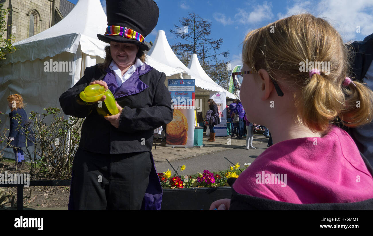 Balloon Artist Near Me Find a Local Expert