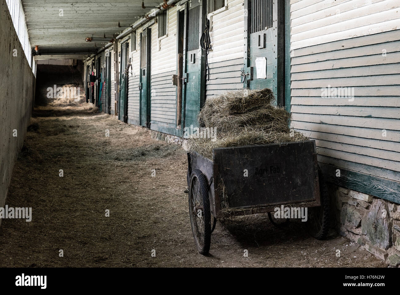 Hay cart outside stable stalls, Morgan Horse Farm, Weybridge, Vermont, USA. Stock Photo