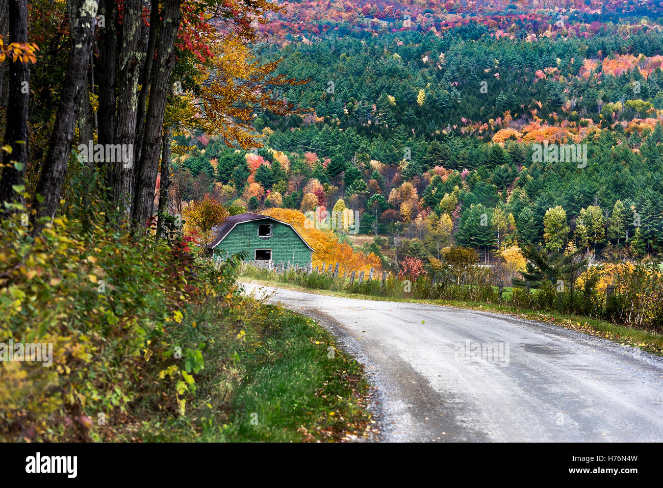 Unpaved country road with autumn foliage, Vermont, USA. Stock Photo