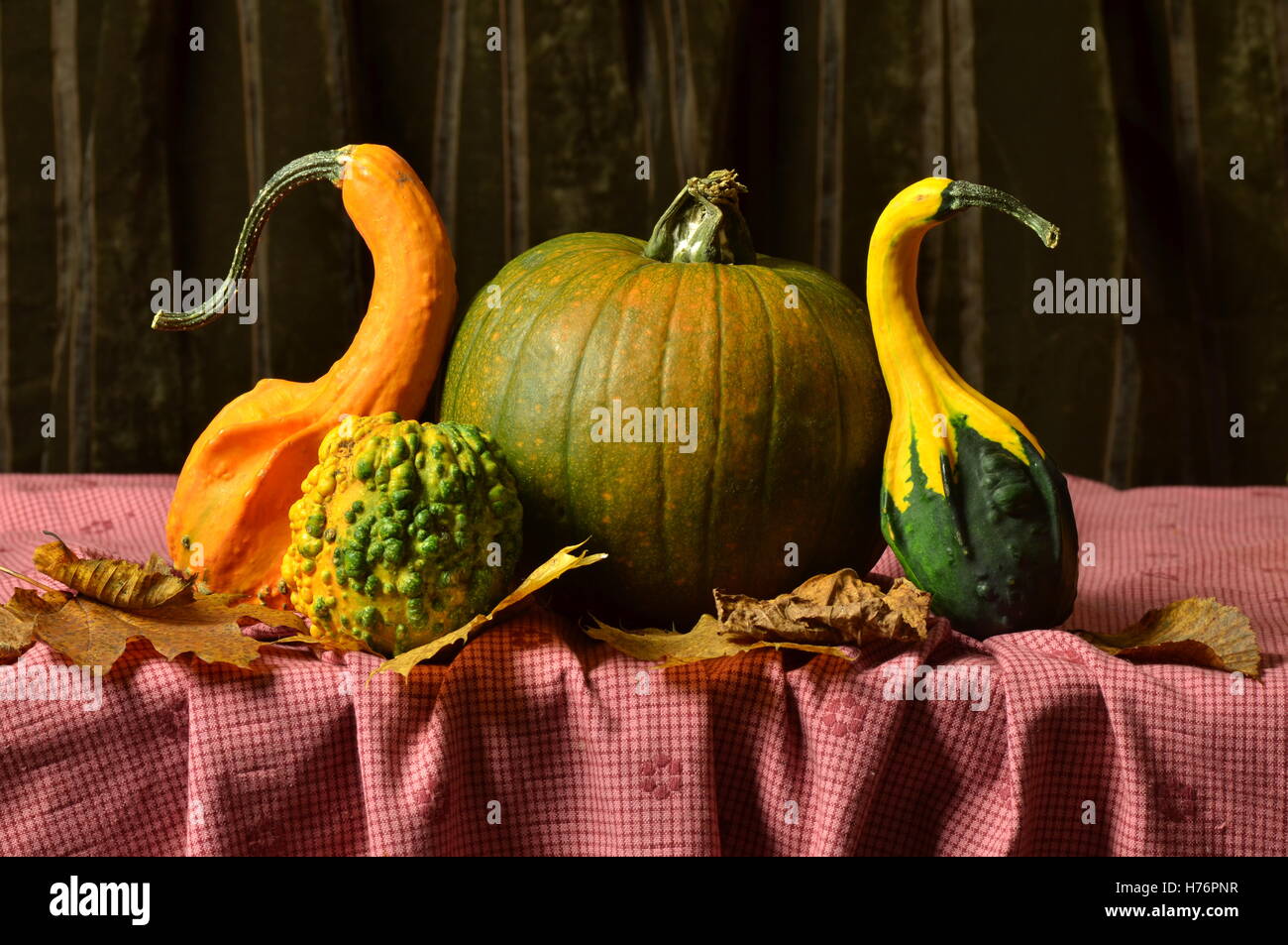 still life pumpkins on table on autumn leaves Stock Photo - Alamy