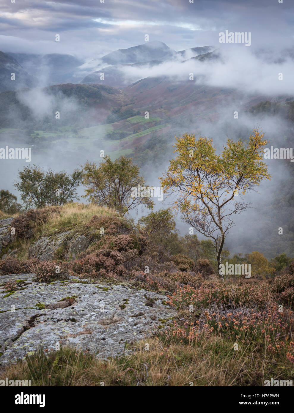 Cloud and mist on King's How in autumn, English Lake District national park, Cumbria, England, UK Stock Photo