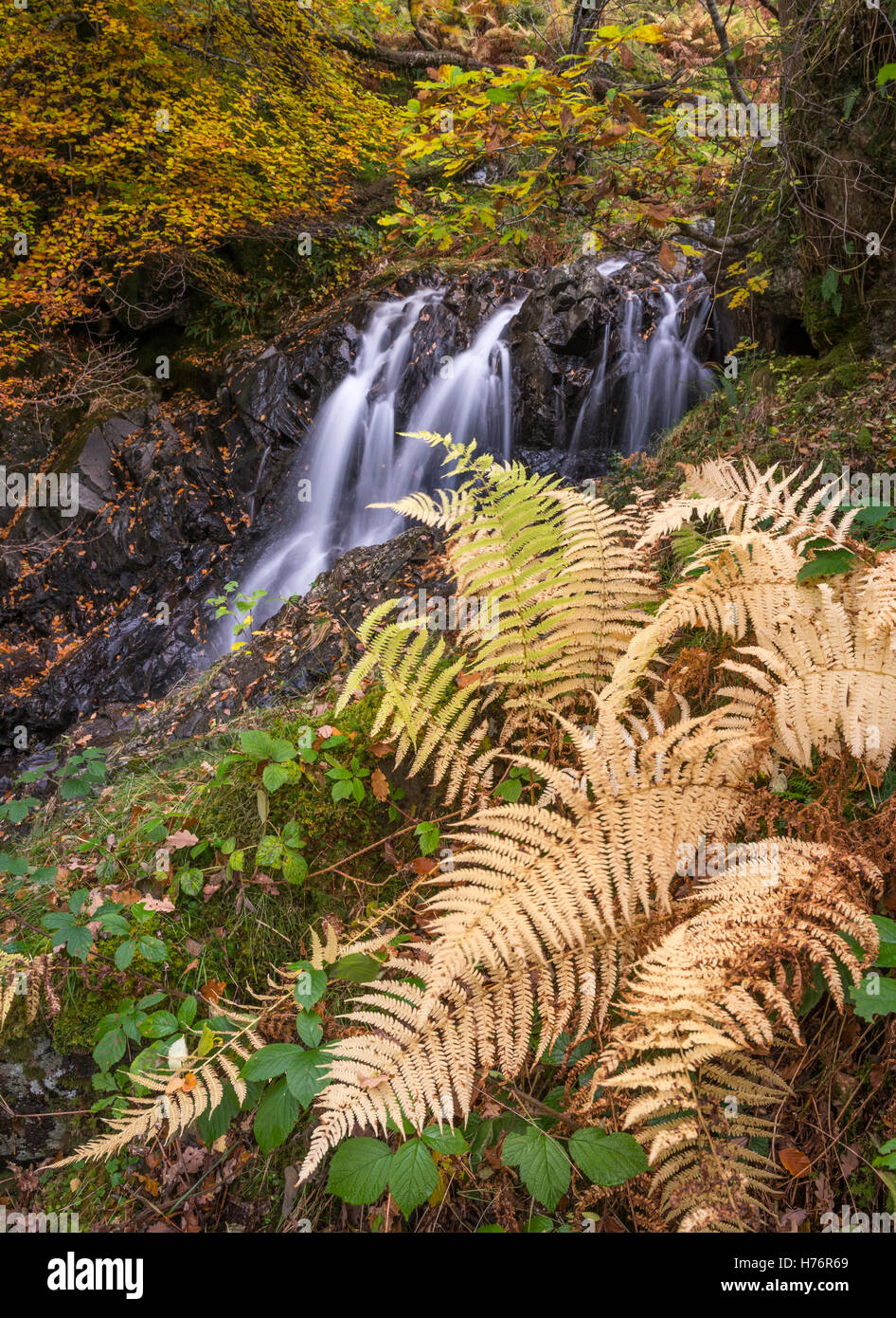 Waterfalls on Hause Gill in autumn, Honister Pass, English Lake District national park, England, UK Stock Photo