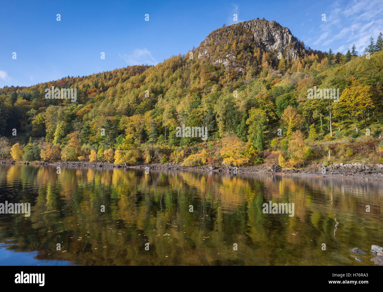 Autumn colours at Raven Crag reflected in Thirlmere, English Lake District national park, Cumbria, England, UK Stock Photo