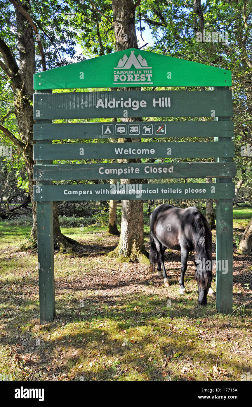 Signboard and New Forest Pony at Aldridge Hill in the New forest National Park, Hampshire, England. Stock Photo