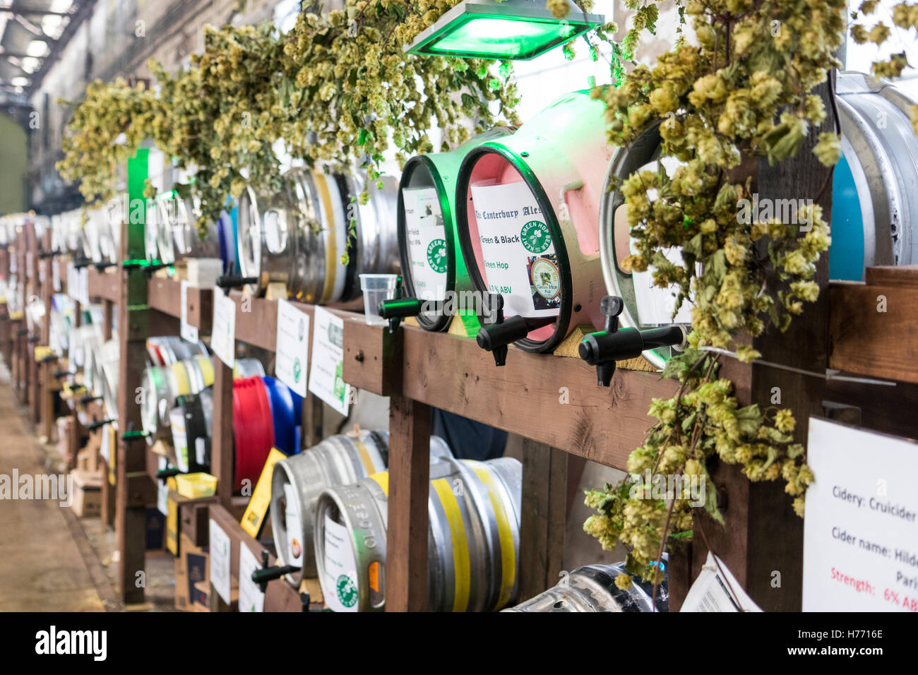 England, Tunbridge Wells. CAMRA real ale beer festival held in locomotive shed. Two rows of labelled beer barrels on shelves, all tapped. Stock Photo