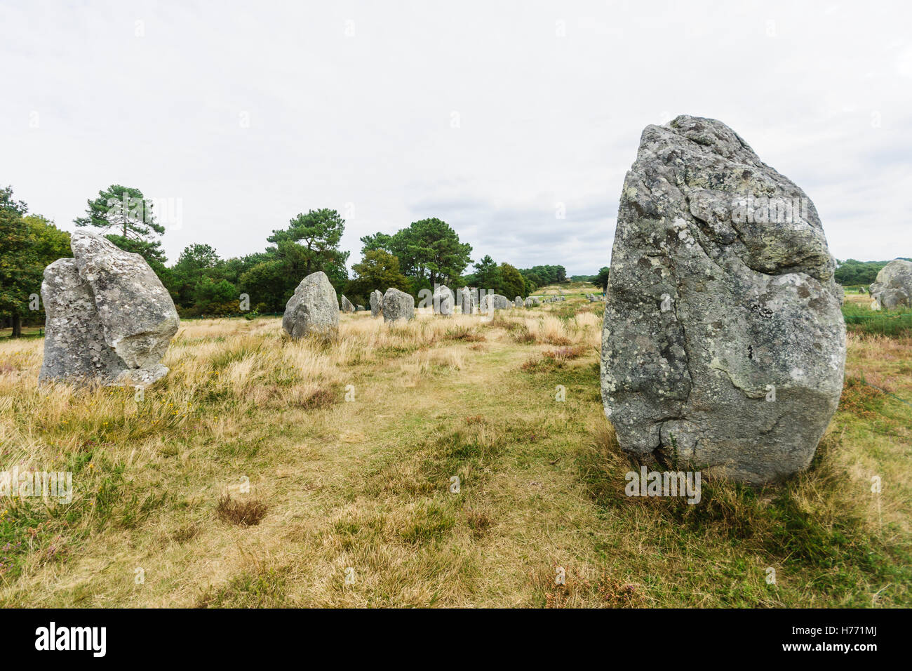 Lines of prehistoric standing stones in Carnac, Brittany, France Stock Photo