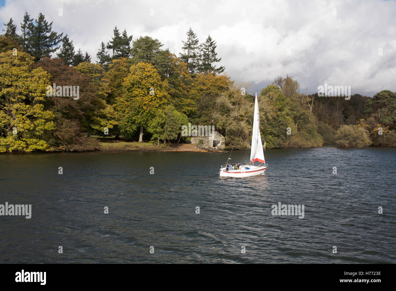 Yacht sailing along the eastern bank of Windermere with trees in Autumn colours Lake District Cumbria England Stock Photo