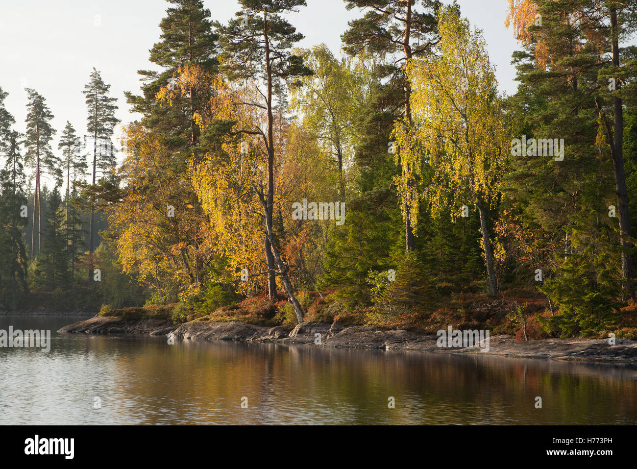 autumn landscape lake Holmasjön near Ramkvilla, Smaland, Sweden Stock ...