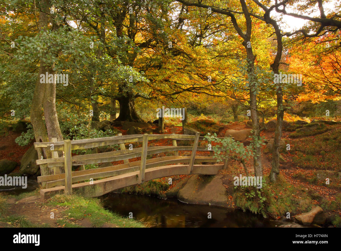 Wooden bridge over Burbage Brook in Padley Gorge; a beautiful valley in  the Peak District National Park, Derbyshire UK - autumn Stock Photo