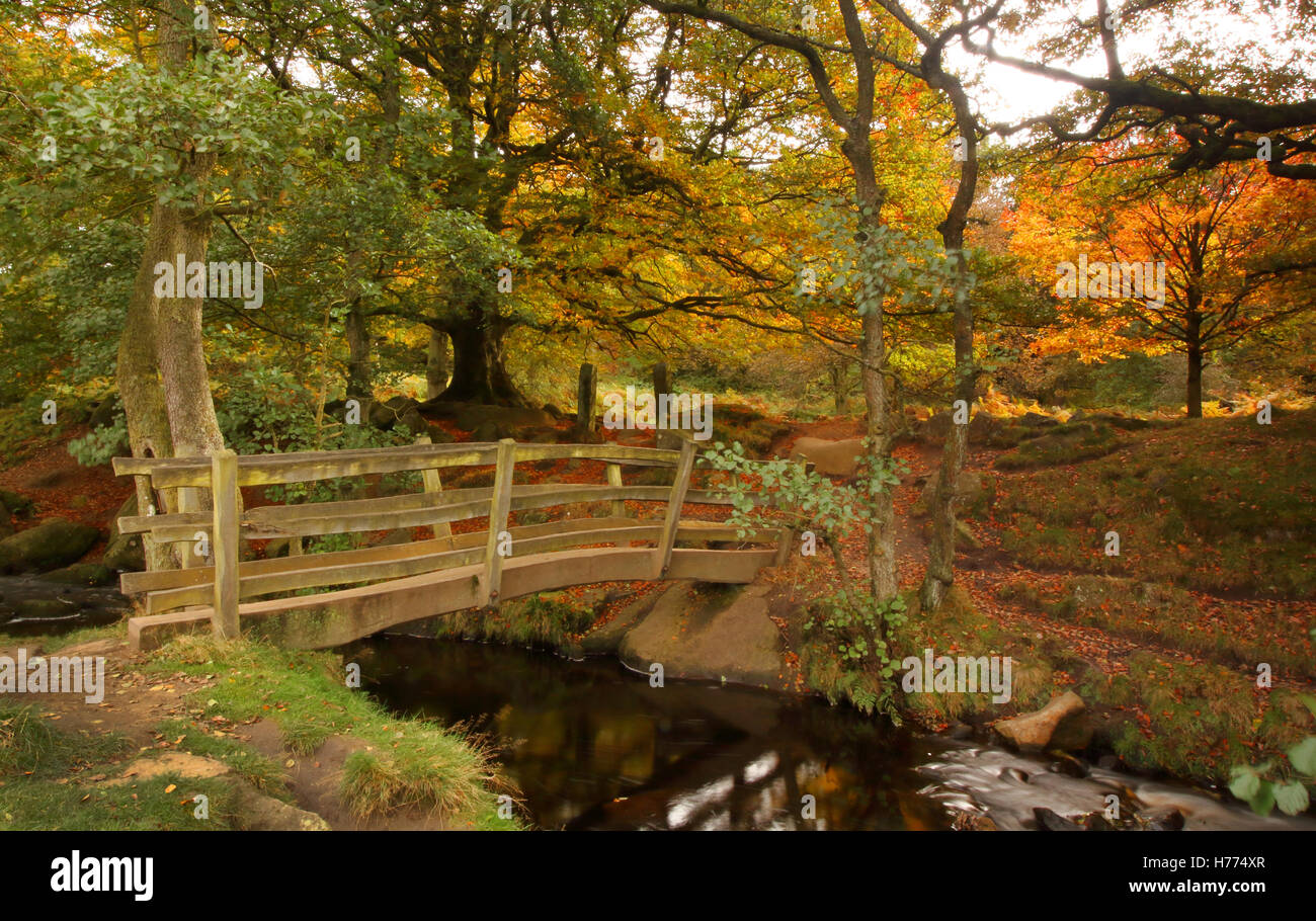 Wooden bridge over Burbage Brook in Padley Gorge; a beautiful valley in  the Peak District National Park, Derbyshire UK - autumn Stock Photo