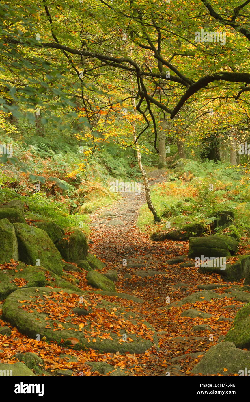 An abandoned millstone, a symbol of the Peak District National Park's cultural heritage, in Padley Gorge, Derbyshire England UK Stock Photo