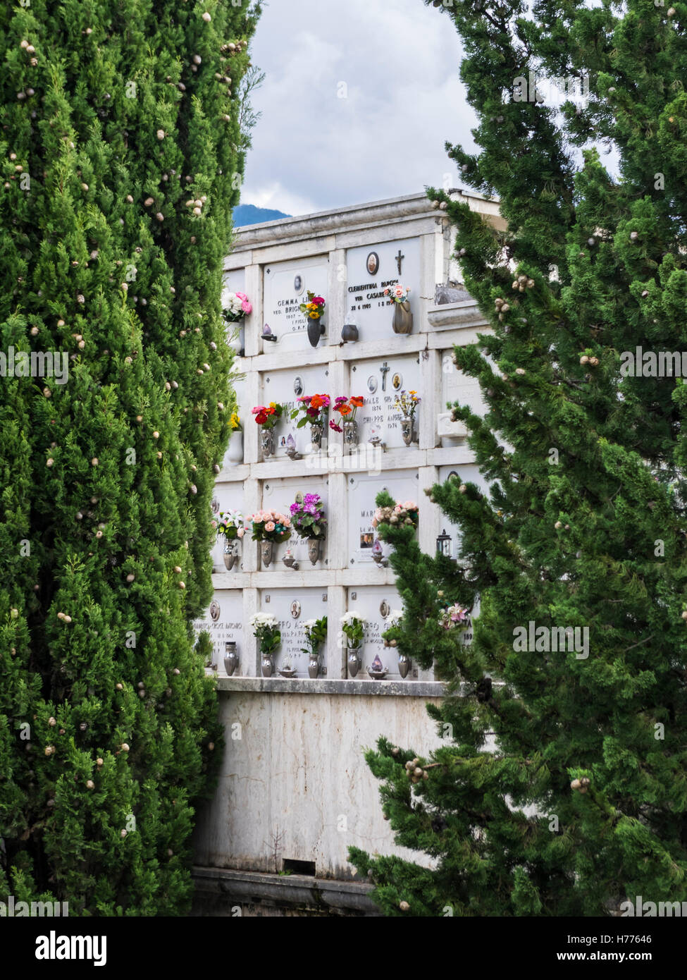 Wall graves between cypress trees at the cemetery of Lavagna, Liguria, Italy. Stock Photo