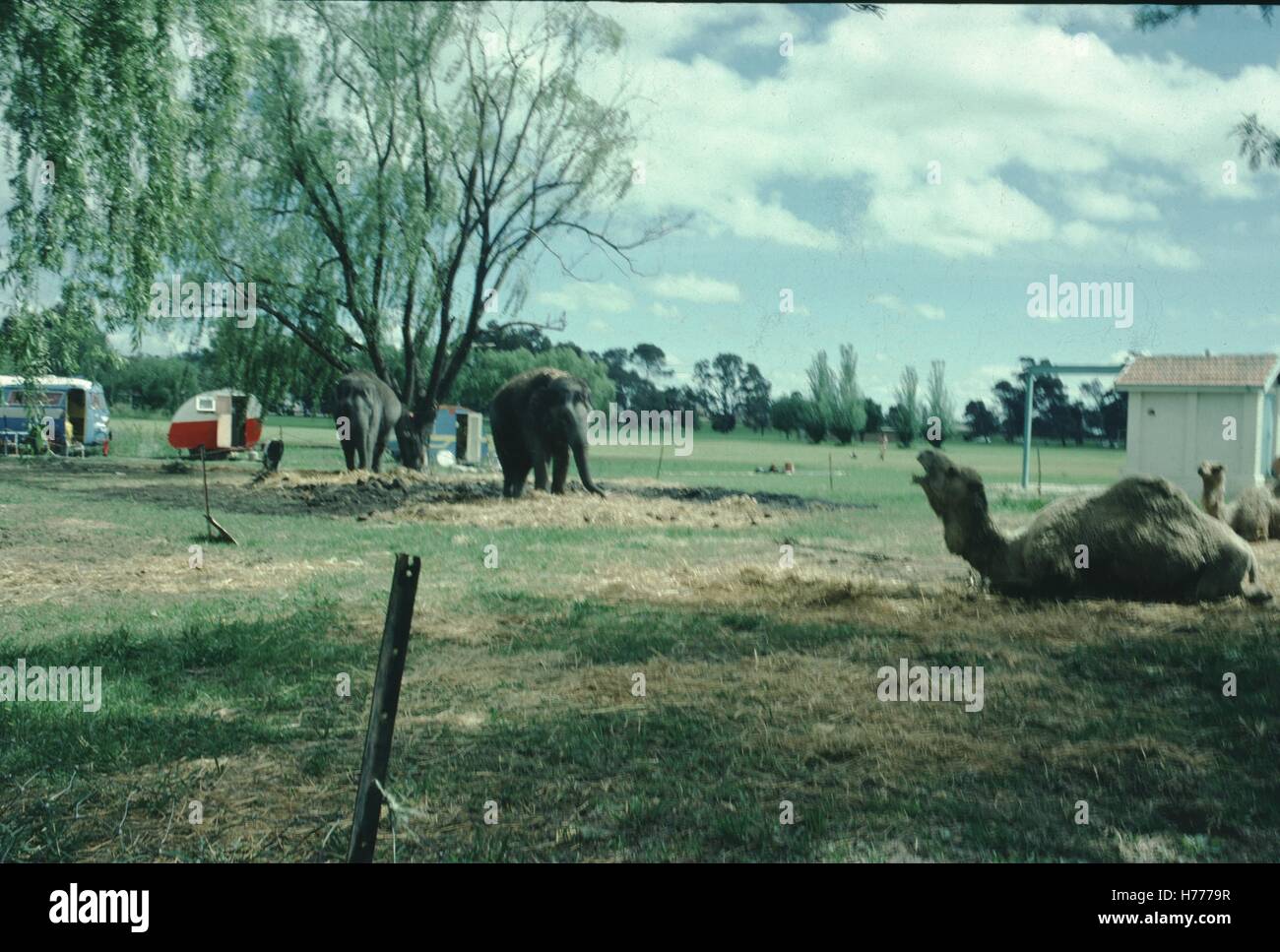 Archival trailer park hi-res stock photography and images - Alamy