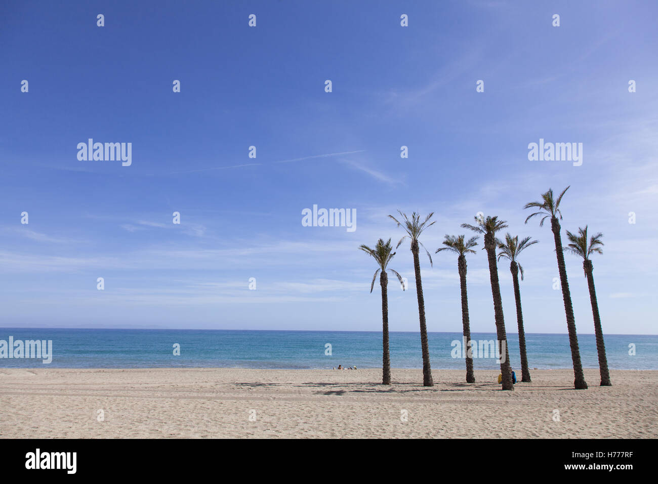 beach with palm trees and a blue sky Stock Photo - Alamy