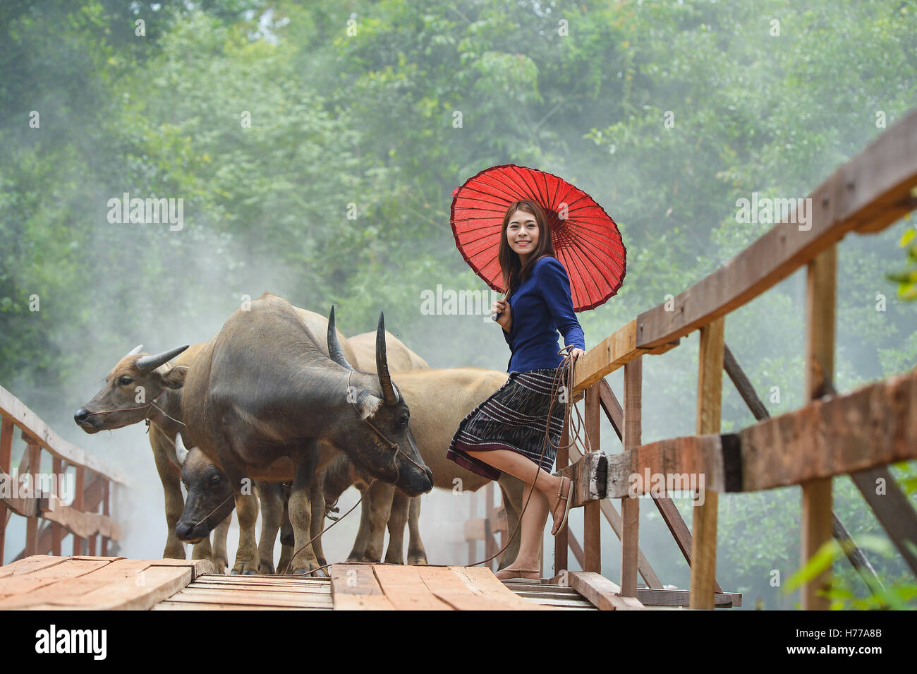 Woman standing on  bridge with buffalo, Thailand Stock Photo