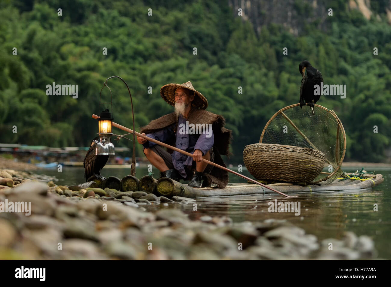 Cormorant fisherman, Yangshuo, Guilin, China Stock Photo Alamy