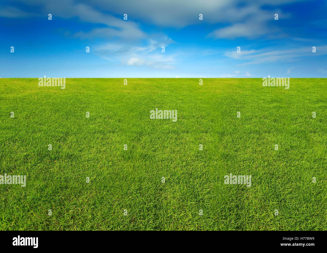 Grass and cloudy sky Stock Photo - Alamy