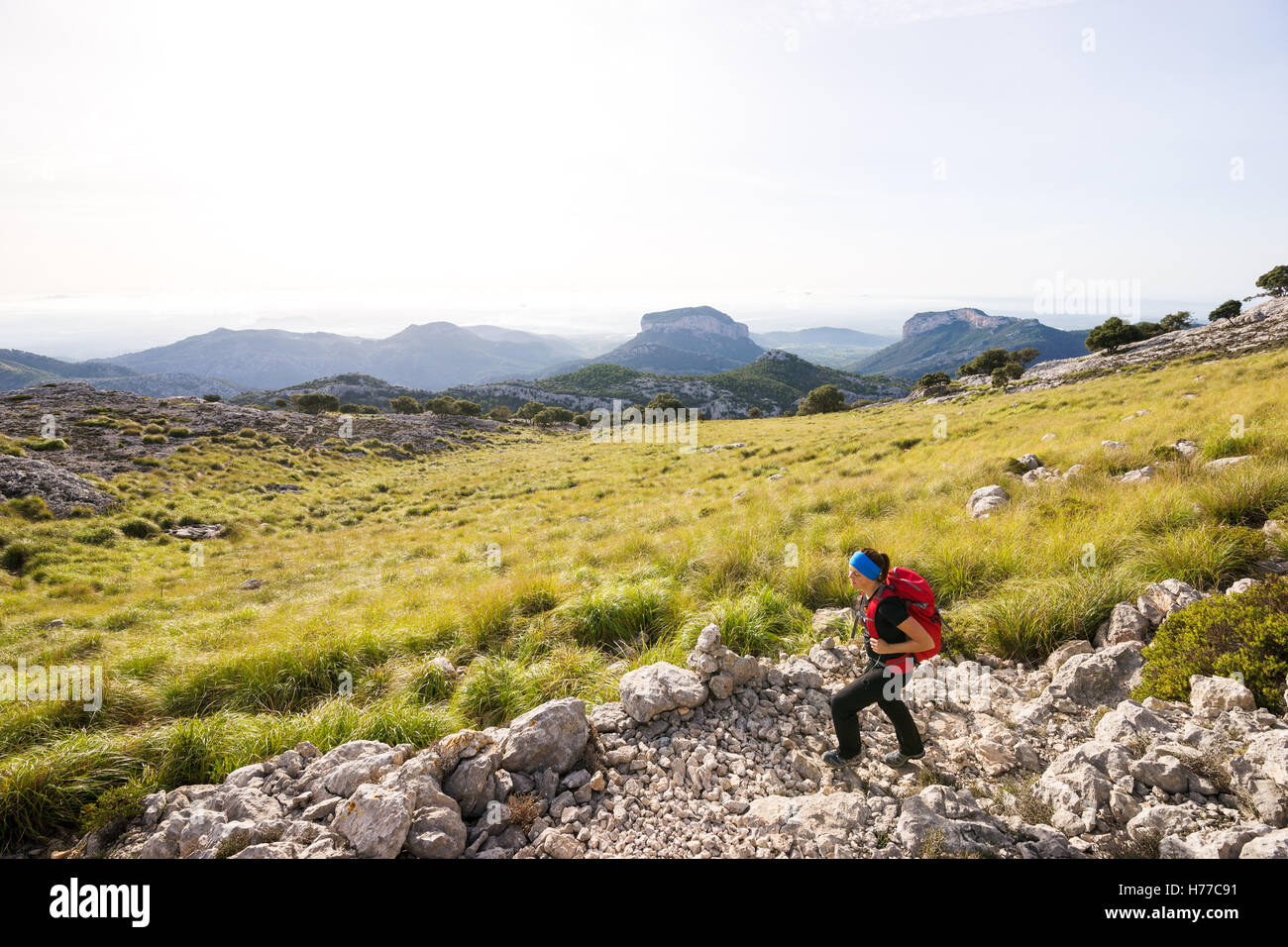 Person hiking in mountains hi-res stock photography and images - Alamy