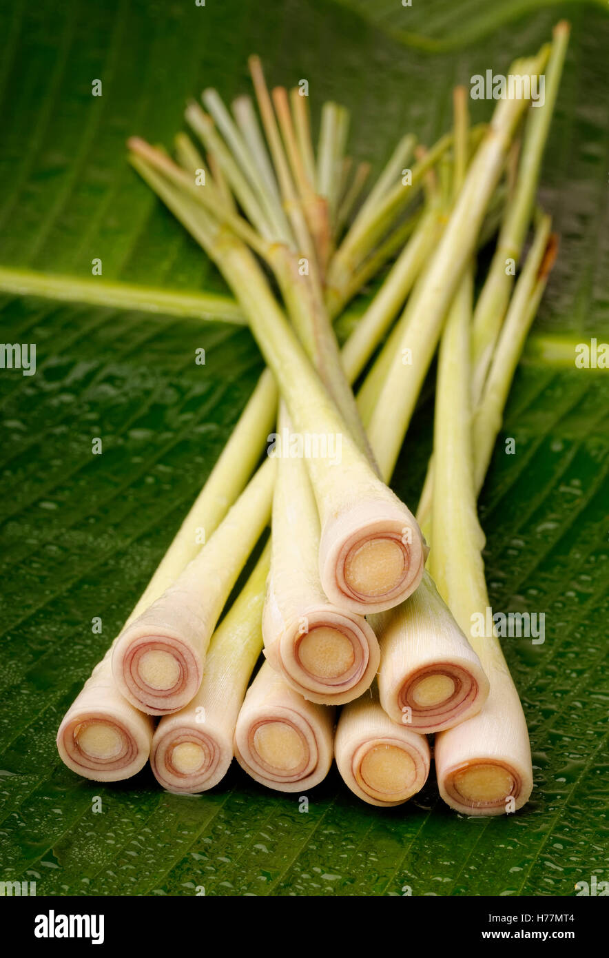 Freshly Cut Lemongrass Arranged On A Banana Leaf Stock Photo Alamy