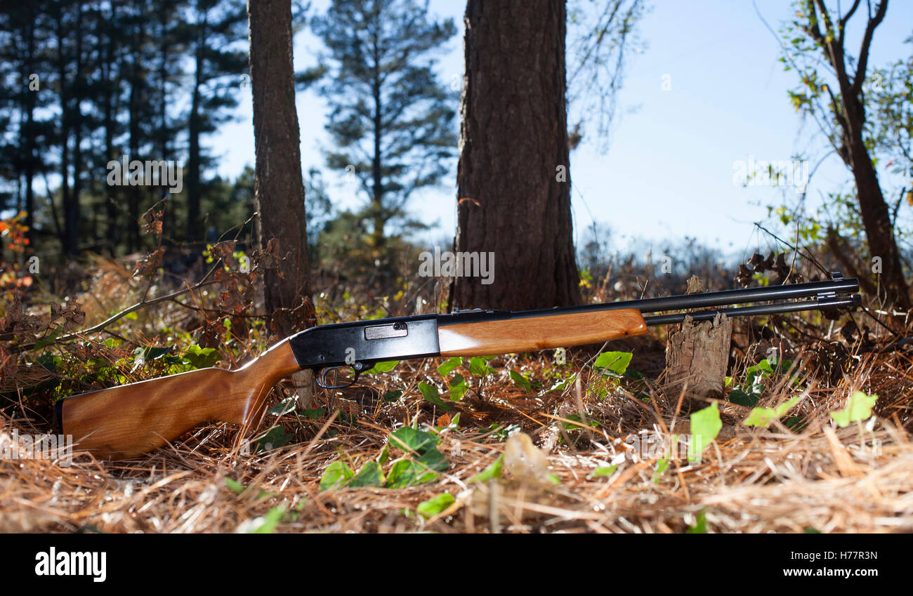 Semi automatic rifle in the forest with trees and sky Stock Photo Alamy