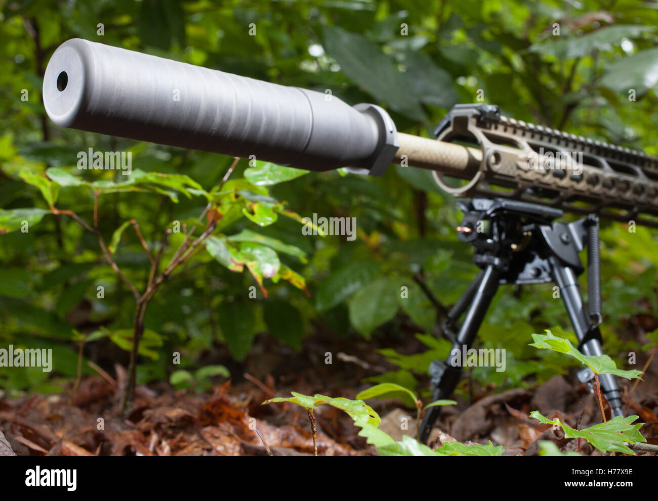 Suppressor mounted on a modern sporting rifle in the trees Stock Photo ...