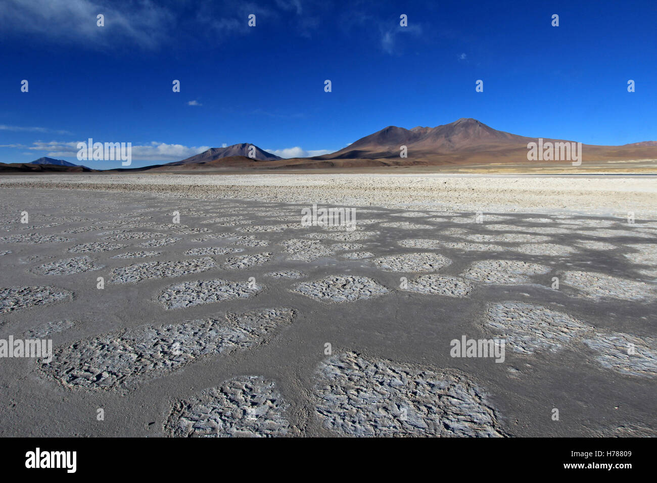 Laguna Ramaditas, altiplano, southern Bolivia South America Stock Photo