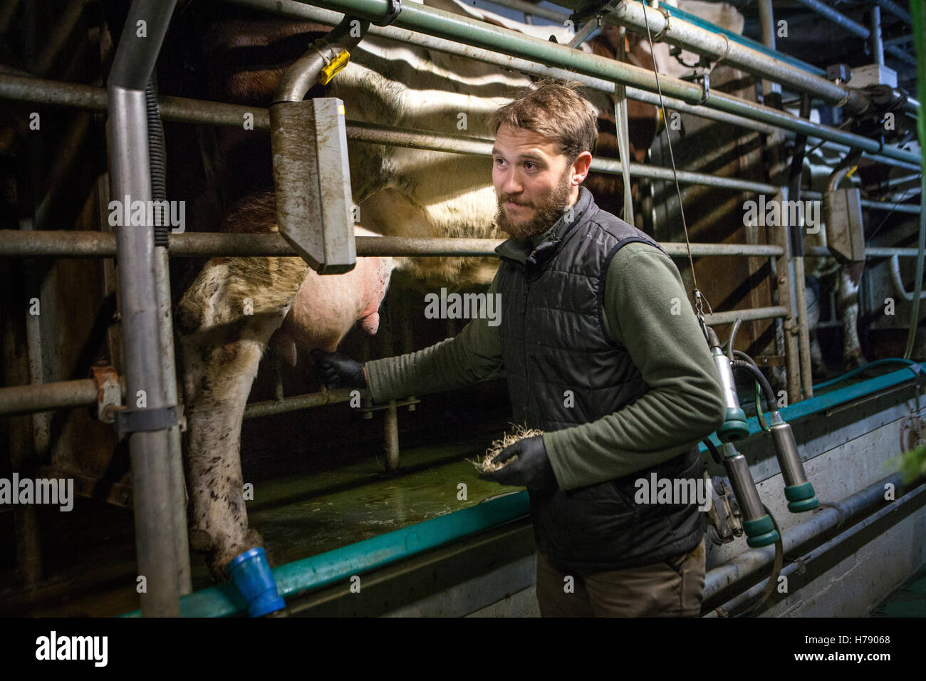 ORGANIC FARMING Stock Photo