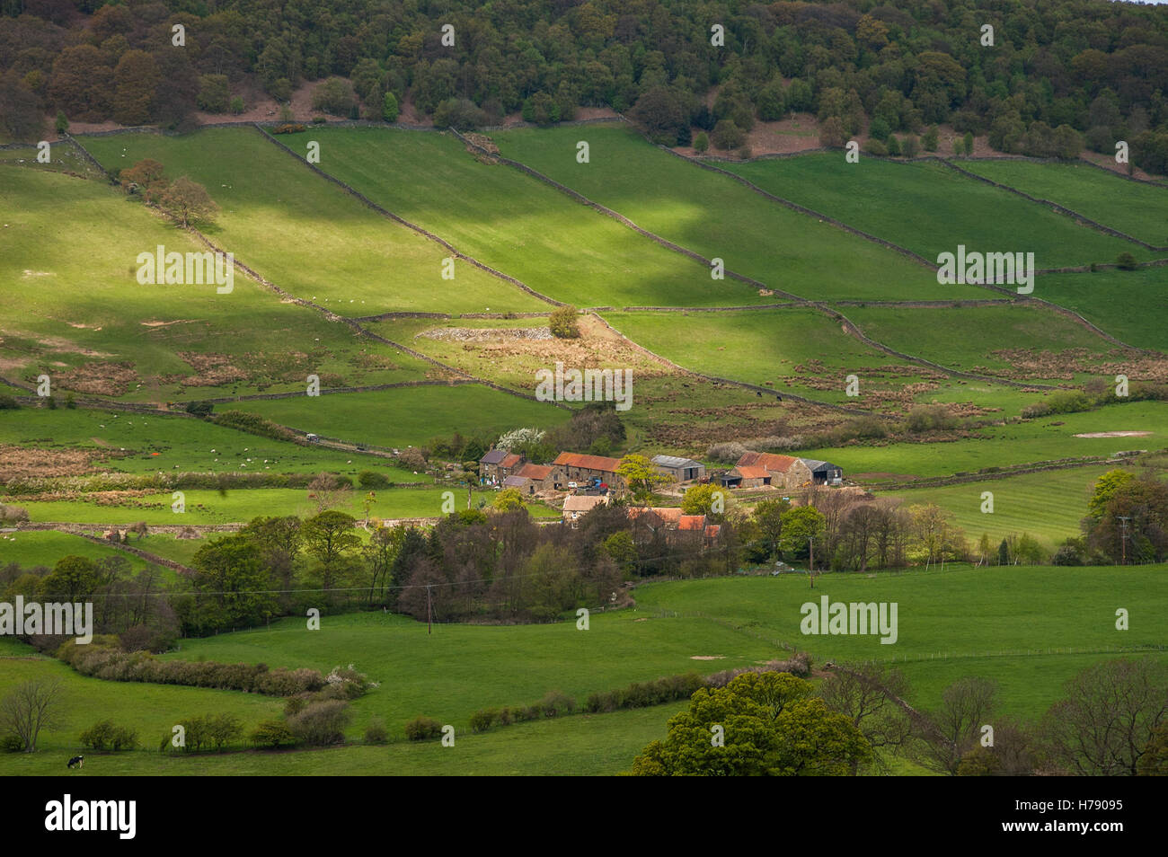 Great Fryup Dale in the North York Moors National Park Stock Photo Alamy