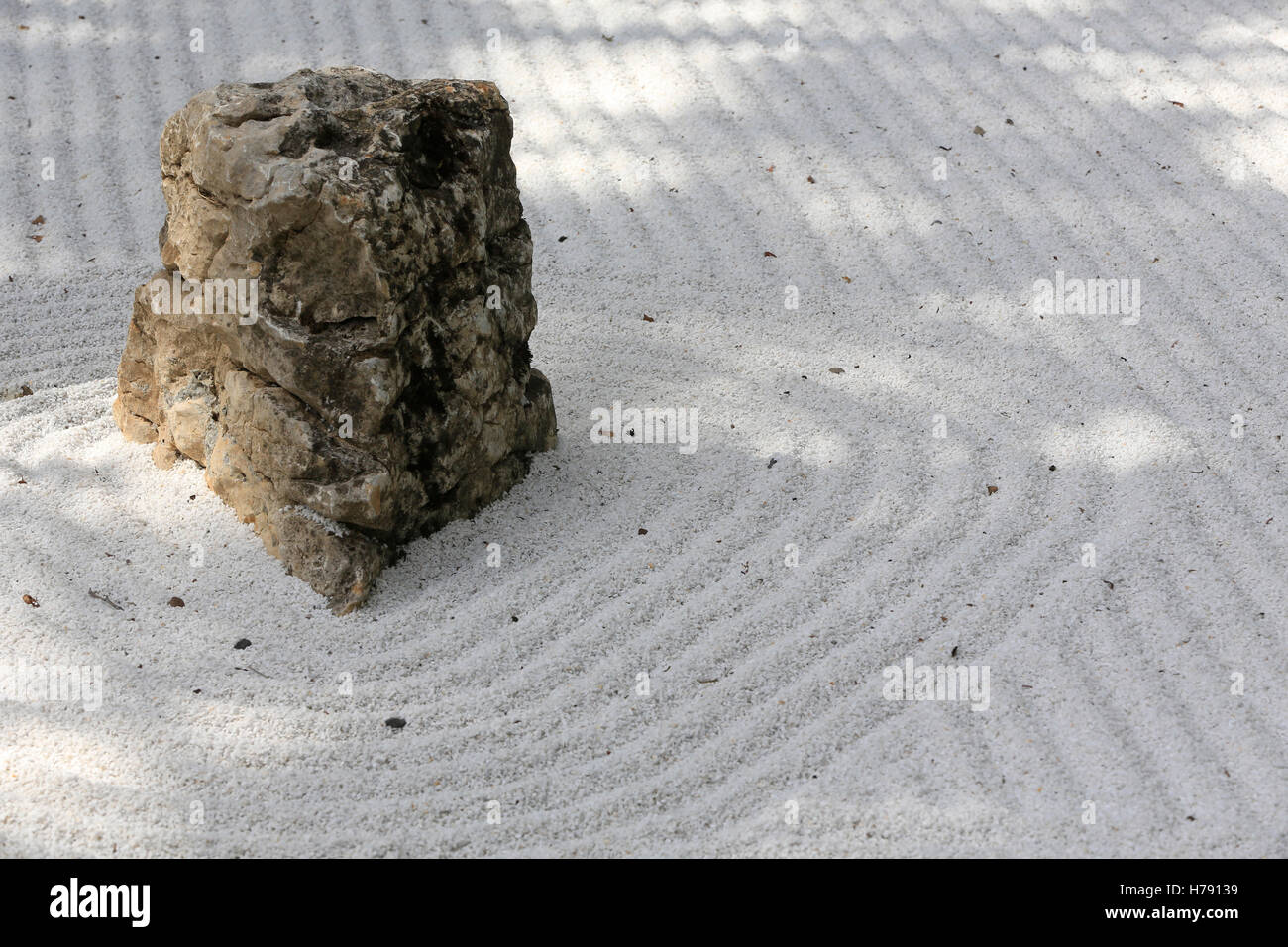 Taking circular rounds hi-res stock photography and images - Alamy