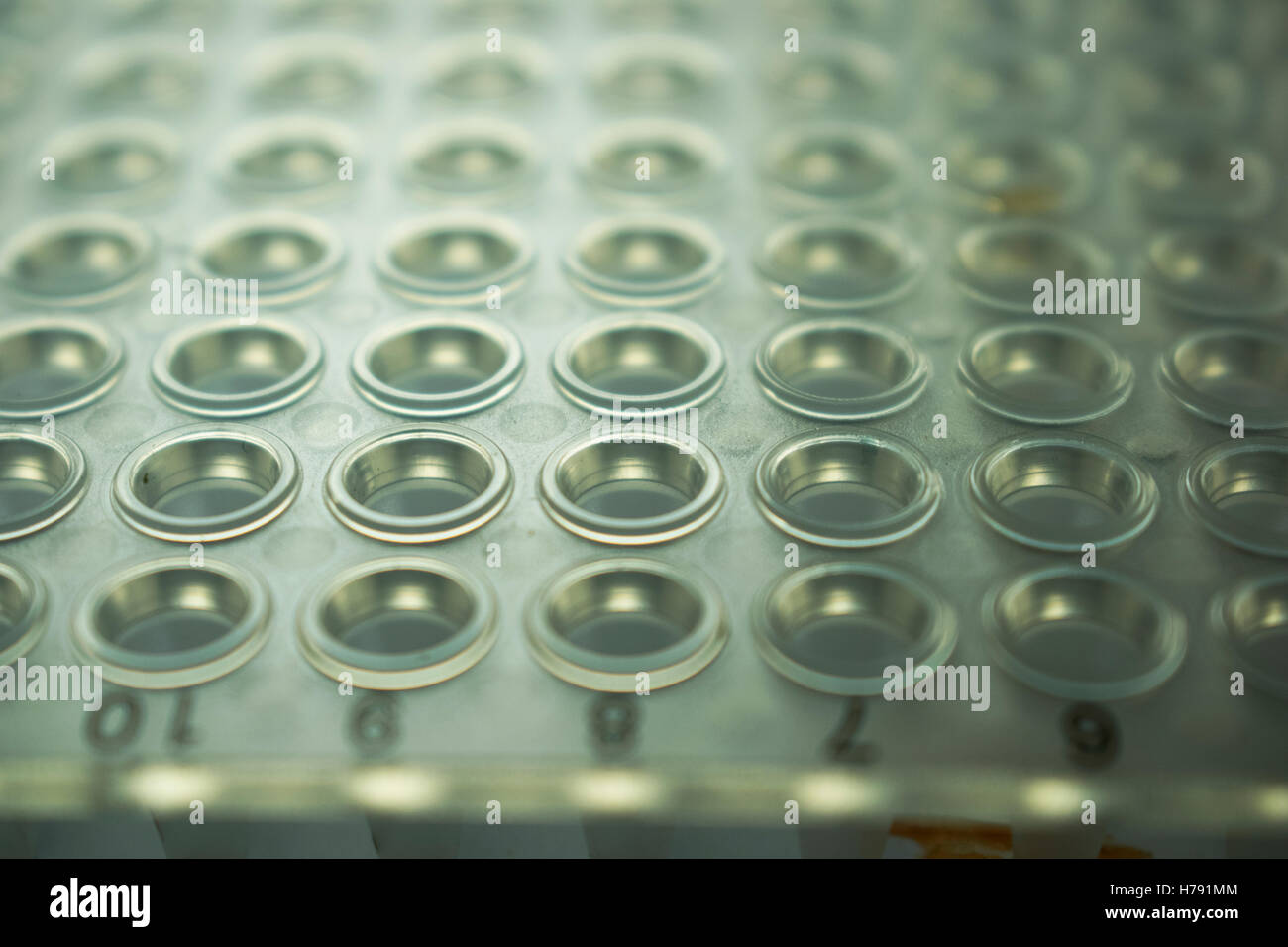 PCR Plate for laboratory experiments Stock Photo Alamy