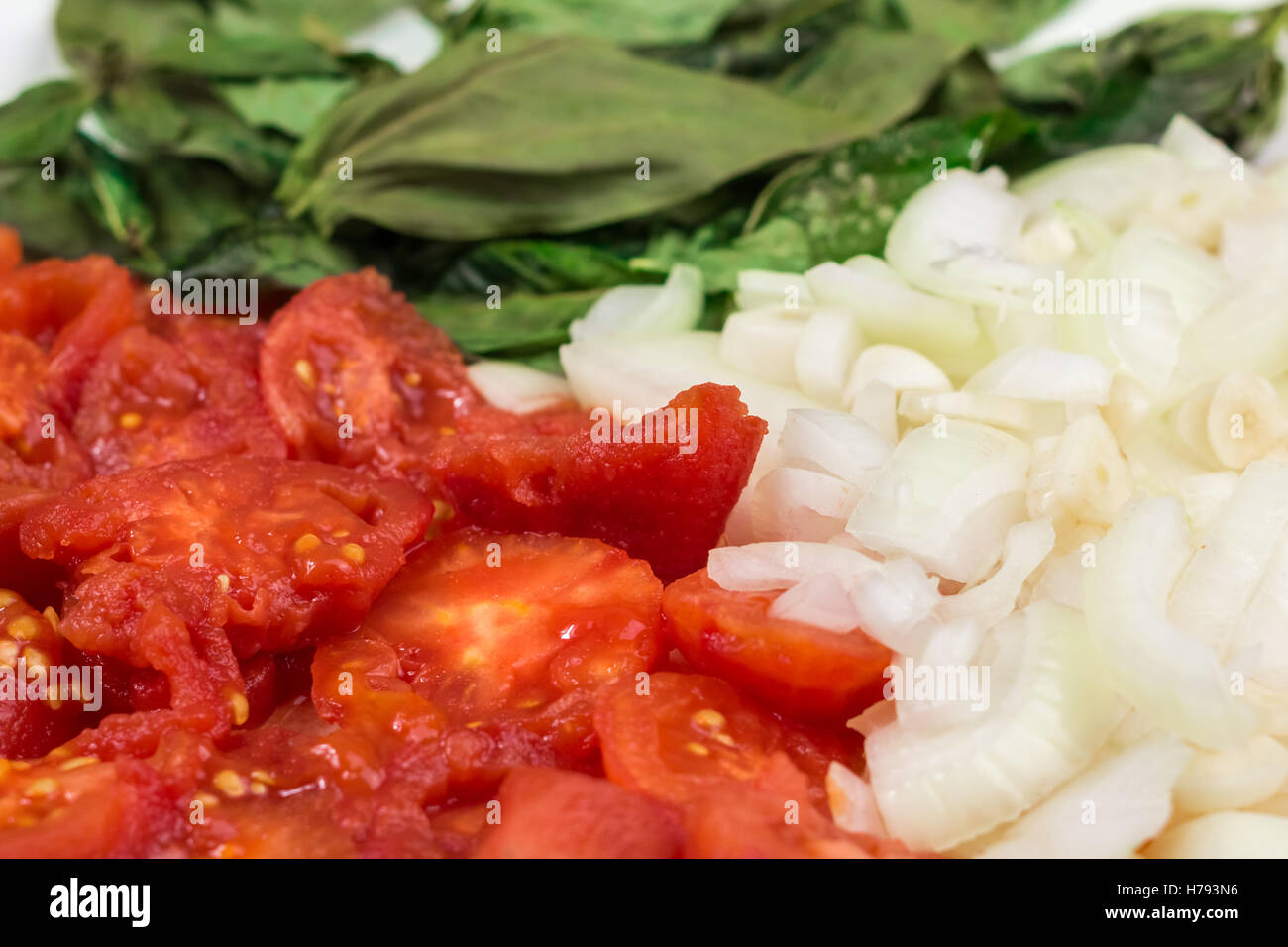 Peeled red tomatoes, chopped onion and garlic, basil leaves as ...
