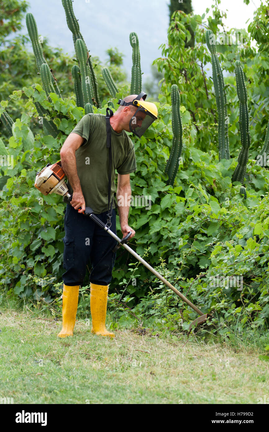 gardener cutting the grass in his garden Stock Photo Alamy