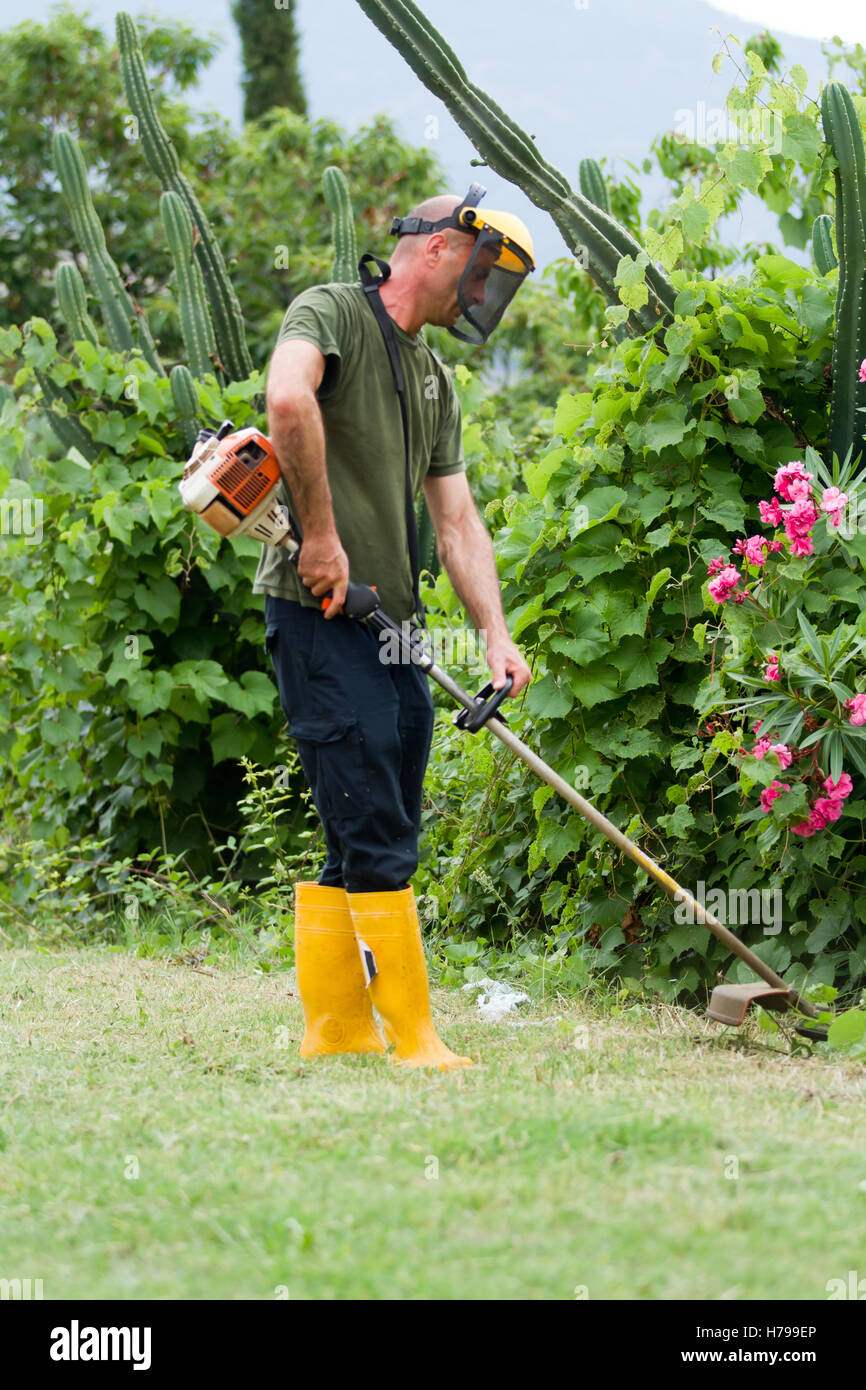 gardener cutting the grass in his garden Stock Photo