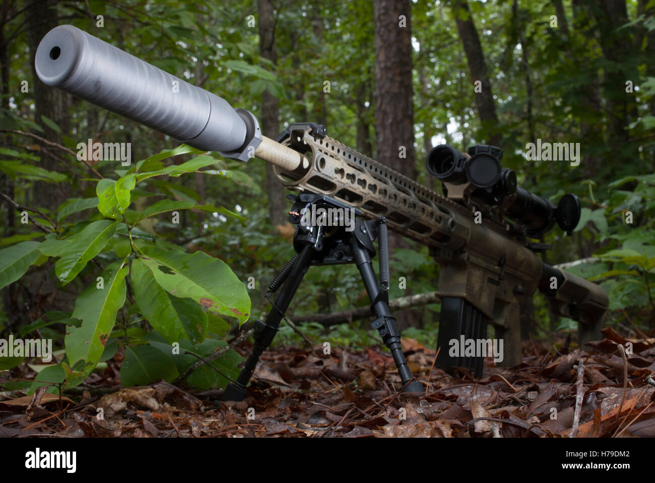Modern Semi Automatic Rifle Semi automatic modern sporting rifle and a suppressor Stock Photo - Alamy