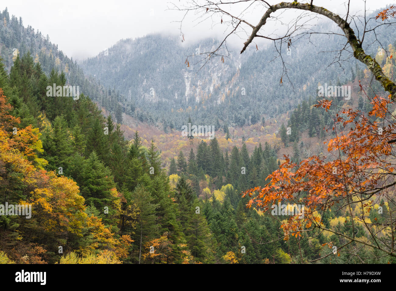 Valley view at Jiuzhaigou National Park in Sichuan province, China in October 2016 Stock Photo