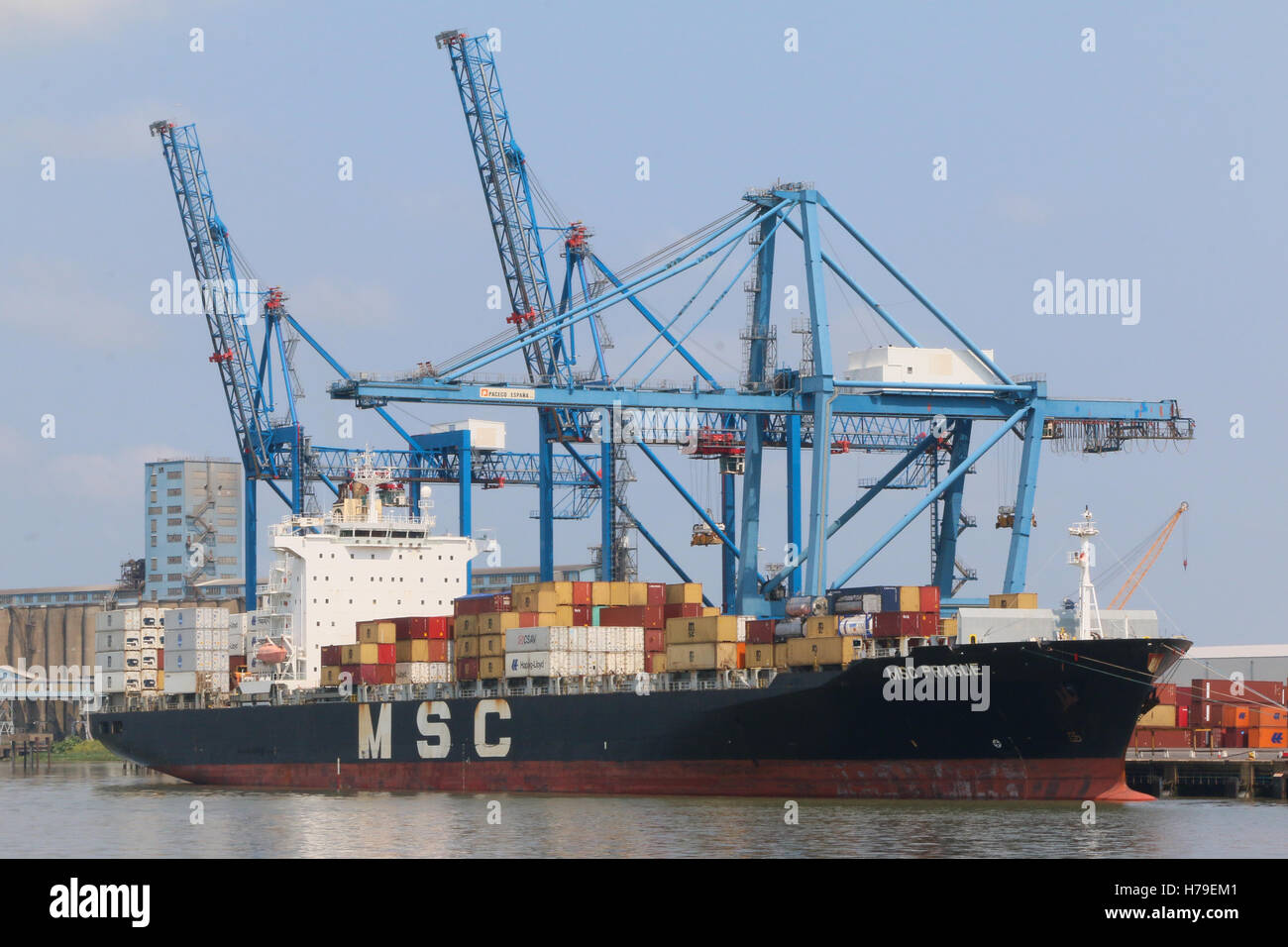 Container ships unloading at Tilbury Docks Stock Photo - Alamy