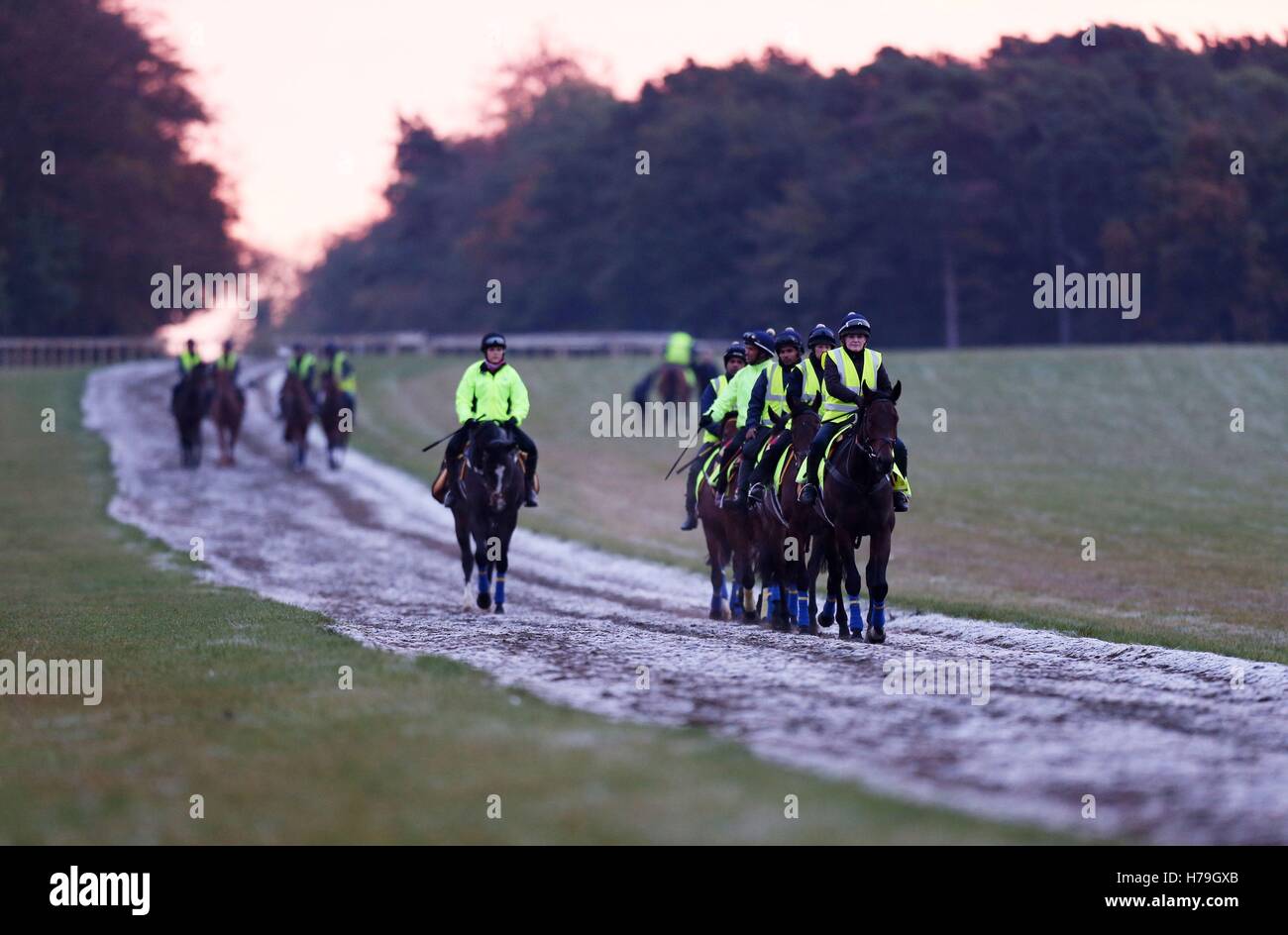 Horses are worked across the frosty gallops at Warren Hill in Newmarket, Suffolk. Queen Elizabeth II is expected to visit the town, often referred to as the headquarters of British racing, later today to unveil a statue of a foal and a mare at the racecourse. Stock Photo