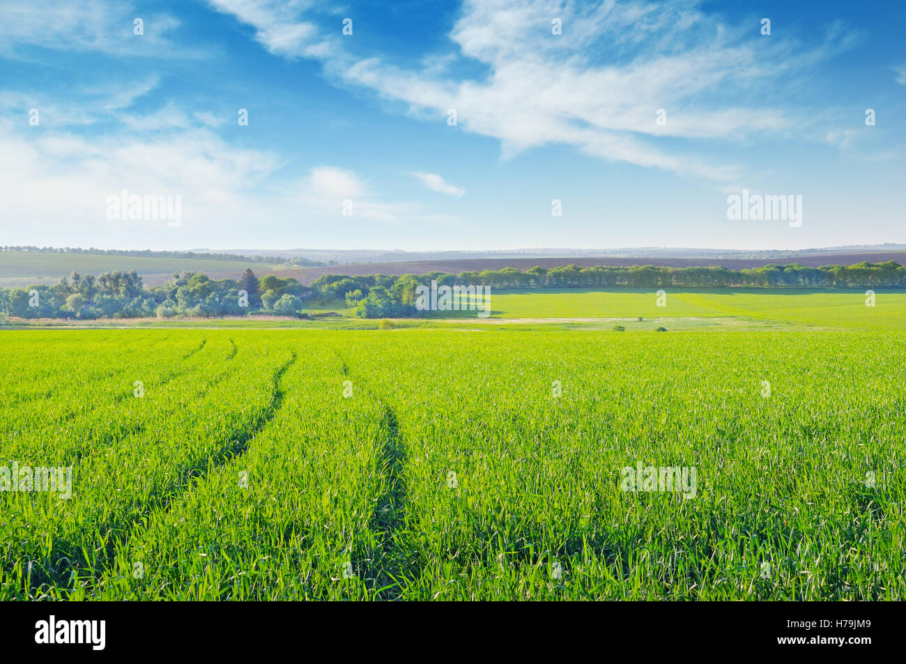 green field and blue cloudy sky Stock Photo - Alamy
